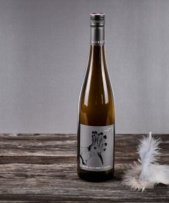 ROTER VELTLINER STEINBERG 2023